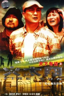 《天下有情之火太阳国语》：江湖恩仇录，爱恨交织的命运史诗