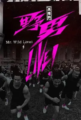《我推的野男LIVE！》：当热血汽车宅邂逅天降巨星，一段充满速度与激情的“养成”奇缘
